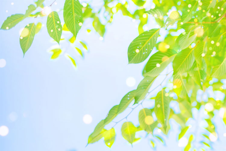 リラクゼーション画像